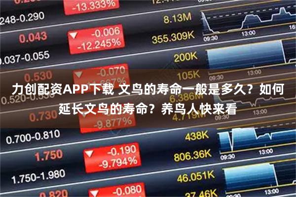 力创配资APP下载 文鸟的寿命一般是多久？如何延长文鸟的寿命？养鸟人快来看